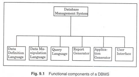 Functionele componenten van een DBMS